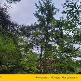 Działka budowlana na sprzedaż, 1421 m2, Borki