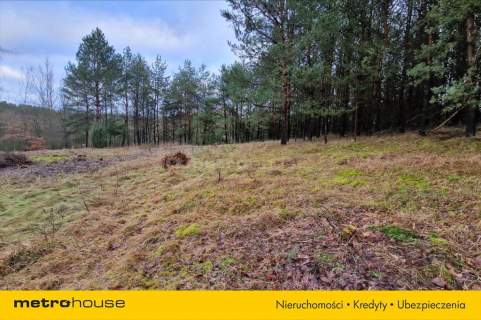 Piękna działka 1,32 ha w Nowej Wsi koło Ciechocina