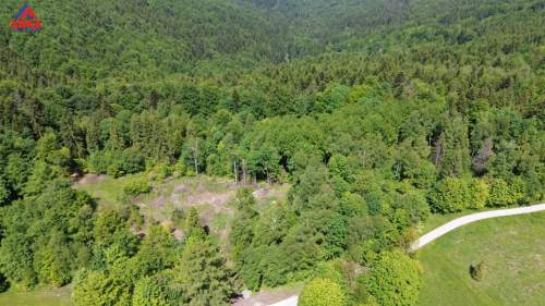 Działka budowlana w środku lasu 750 m n.p.m.