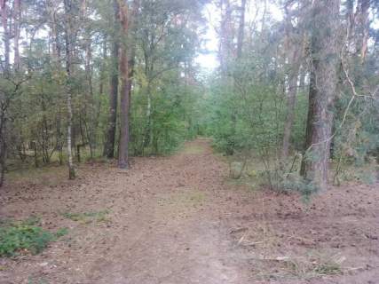 Działka budowlana w Sobieniu