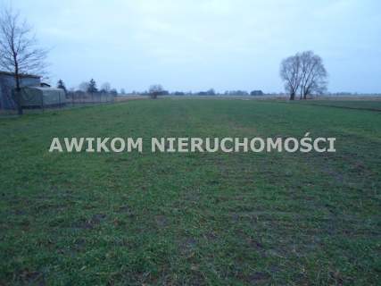Działka rolna na sprzedaż, 20000 m2, Stanisławów