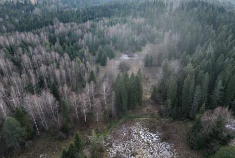 Działka Lipie - cisza i natura w sercu Bieszczad