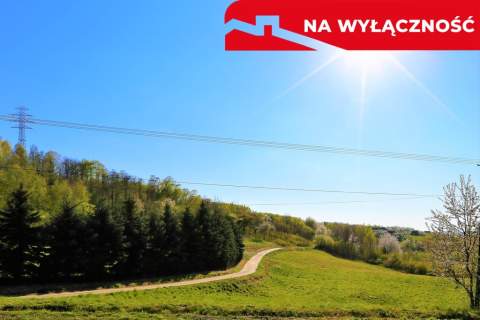 Na sprzedaż działka idealna pod winnice
