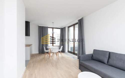 Prestiżowy apartament na wynajem - Ogrodowa 31