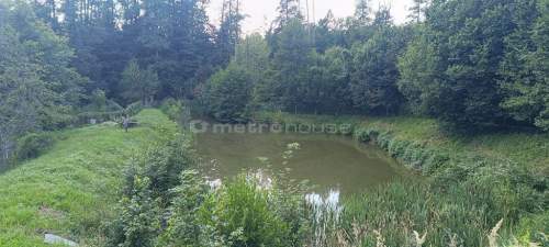 Dom wolnostojący 156m2 Na działce 4900m2 staw
