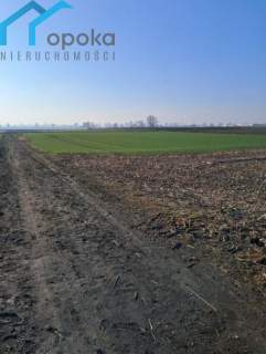 Działka usługowa, Piekary Śląskie