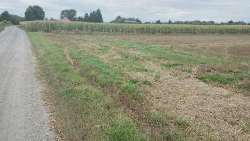 Działka budowlano-rolna nr 198/1, Trębaczów, Gmina Łęczna, 1