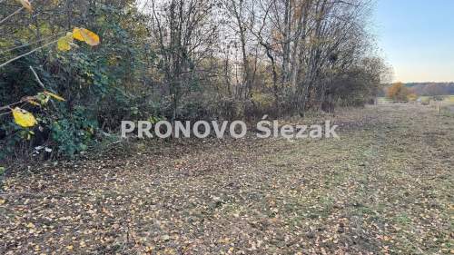 Rościsławice.Działka 1266 m .8 min od Obornik Śl.