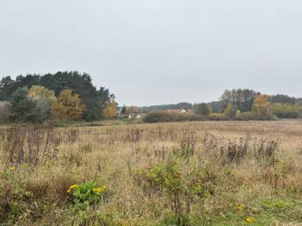 Grunt inwestycyjny. Idealny pod hale, biurowiec