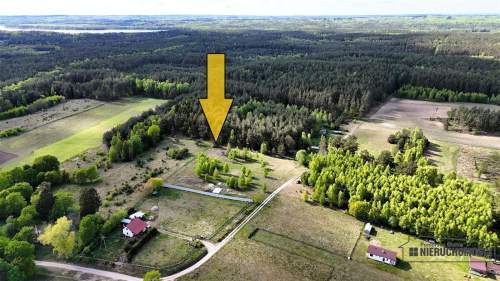 Duża działka w otoczeniu lasu. Drężno.