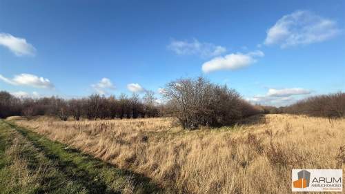 Działka budowlana na sprzedaż, 26001 m2, Wilkowiecko