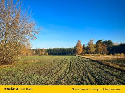 Działka rekreacyjna Szydłów, gm. Lutomiersk