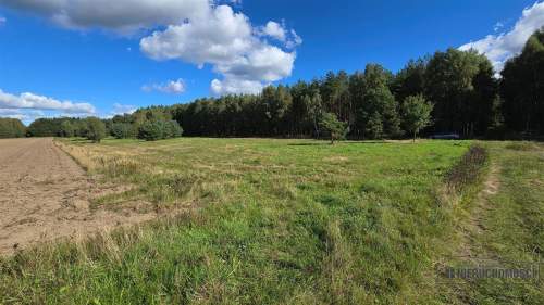 Dargikowo - działka pod lasem - 45 km od morza - n
