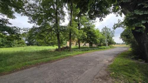 Działka 1,74 ha /dom do remontu / siedlisko