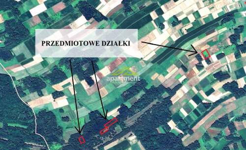 Działki rolne, 11500 m2, Nieczajna Górna, dąb