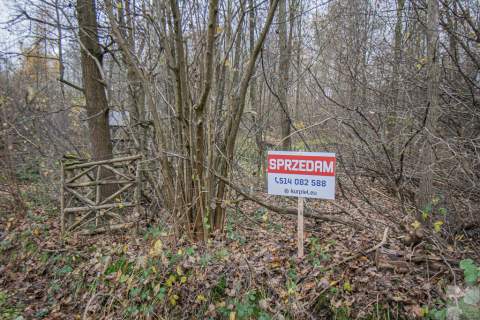 Działka 1,61 ha w lesie z altaną i oczkiem wodnym