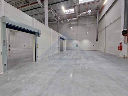 Magazyn do wynajęcia 2000 m2 w Markach