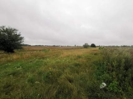 działka 4900m2 w całości lub 3 odrębnie z warunkami zabudowy