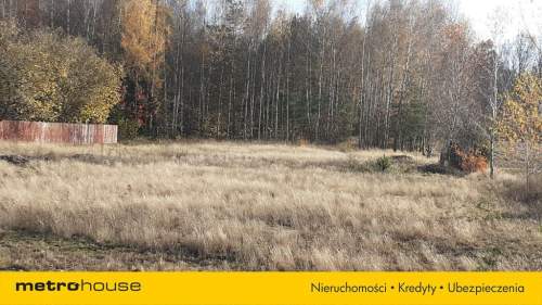 Działka budowlana na sprzedaż, 4800 m2, Wola Wodyńska