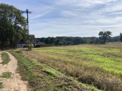 Wyszomierz - działka budowlana - na raty - 8 km od