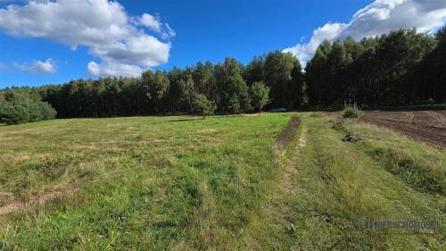 Dargikowo - działka pod lasem - 45 km od morza - n