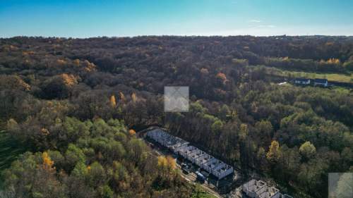 Przedsprzedaż - las św. Marcina dla rodziny