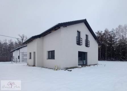 Dom stan deweloperski 140m2 Drużbice Bełchatów
