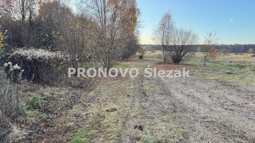 Rościsławice.Działka 1266 m .8 min od Obornik Śl.