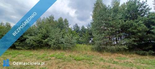 Warszawa/Raszyn/Tarczyn/ Posiadłość 2,1 ha z budynkami.