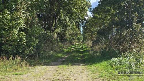 Dargikowo - działka pod lasem - 45 km od morza - n