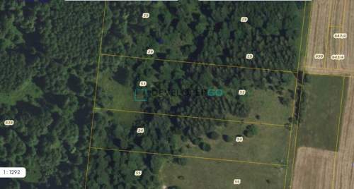 Działka / 1,08ha / Białowieża / Zastawa Krzyże