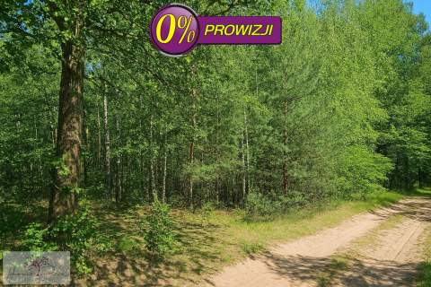 Działka rekreacyjna 8097m - Brójce, blisko Łodzi
