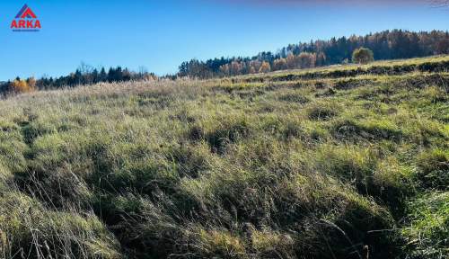 Działka budowlana z panoramą 45 km od Krakowa