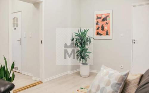 Grzegórzki, 80m2 po remoncie