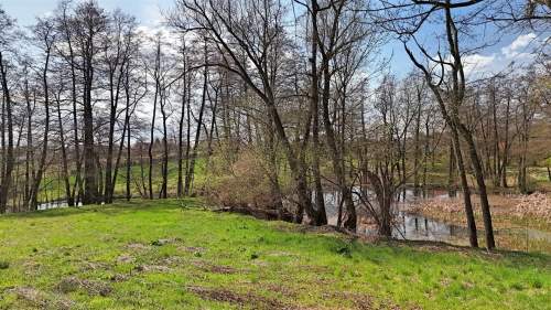 Działka budowlana na sprzedaż, 12200 m2, Przybysławice