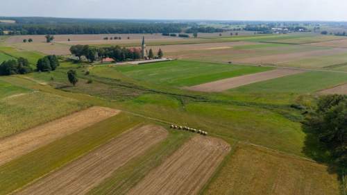 Działka rolna Sieraków Śląski 6792m2