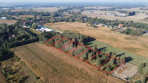 Działka budowlana na sprzedaż, 1300 m2, Tymianka