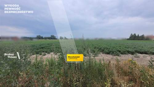 Działka inwestycyjna na sprzedaż, 58000 m2, Ożarów Mazowiecki