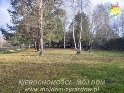 Urocza działka w m. Antoniew, leśna okolica.