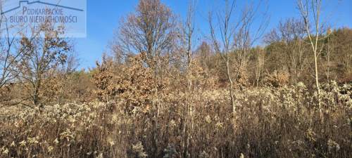 Działka budowlana na sprzedaż, 2200 m2, Tropie