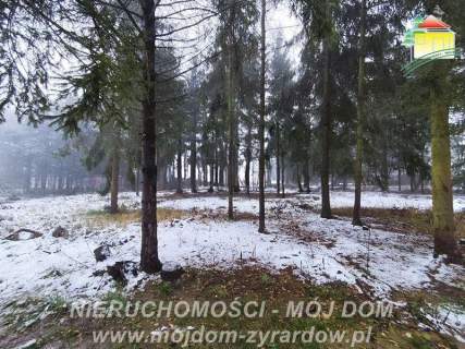 Działka budowlana na sprzedaż, 1350 m2, Kuranów