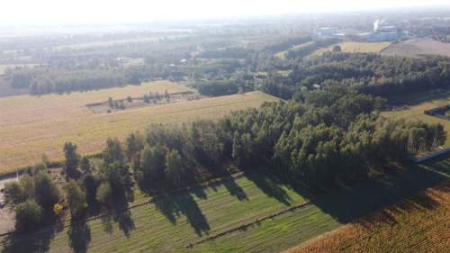 Działka budowlana na sprzedaż, 1300 m2, Tymianka