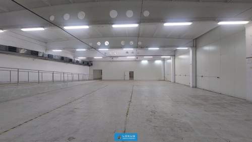 Magazyn Produkcja 3 bramy biuro plac