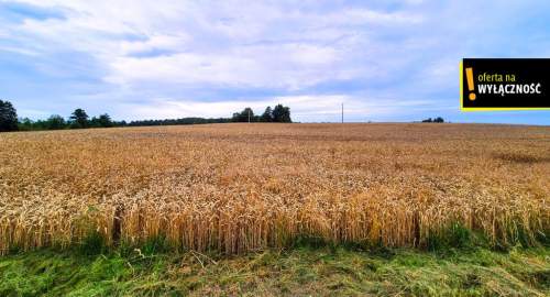 DZIAŁKA Z WZ-ką POD ZABUDOWĘ JEDNORODZINNĄ