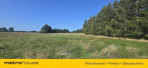 DZIAŁKA Z POTENCJAŁEM NIEDALEKO MORZA I LASU