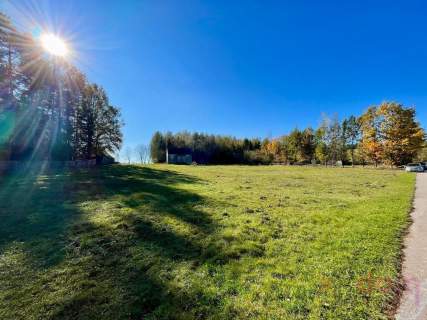 Działka w Korczynie 5400 m2 z opcją podziału
