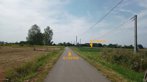 Działka budowlana 55,64 ar, Kliszów k. Mielca, WZ na 4 domy