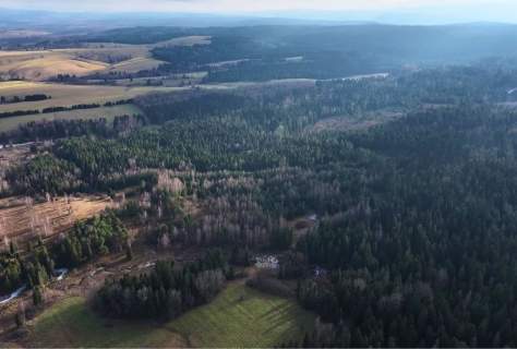 Działka Lipie - cisza i natura w sercu Bieszczad