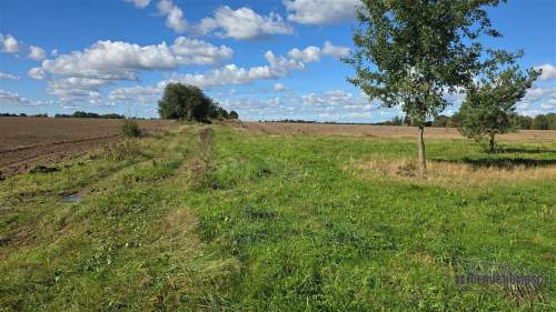 Dargikowo - działka pod lasem - 45 km od morza - n