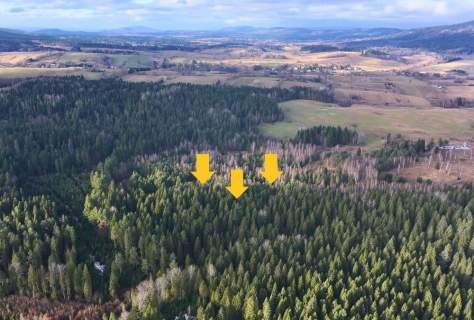 Działka Lipie - cisza i natura w sercu Bieszczad